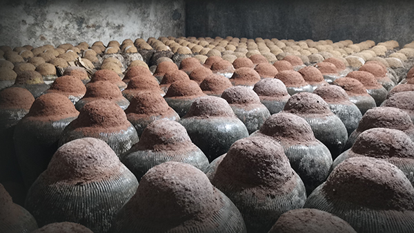 今日冬至，黃酒冬釀正當時