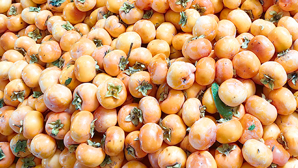 喝完酒不能吃柿子，可柿子酒不僅能喝，口感還倍兒棒！