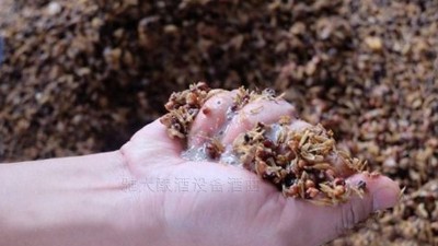 用小型燒酒設(shè)備蒸酒時，酒醅含水量也會影響白酒口感和出酒率？