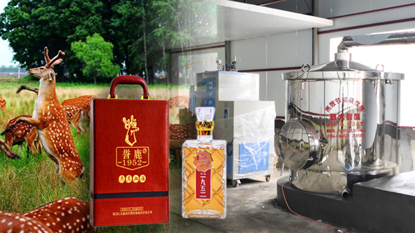用大型釀酒設(shè)備釀鹿茸酒，走出黑龍江生態(tài)旅游發(fā)展特色之路！