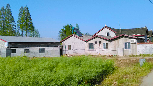 地質(zhì)大學(xué)教授退休后，在效區(qū)開了家窖藏酒坊