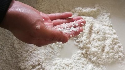 10年釀酒經(jīng)驗的大型釀酒設(shè)備廠家，教您做金銀花糯米酒！