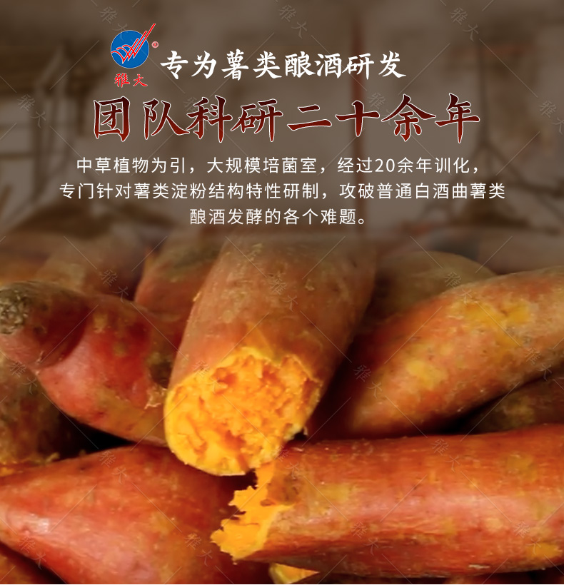 薯類酒曲詳情1_06 薯類酒曲詳情1_06