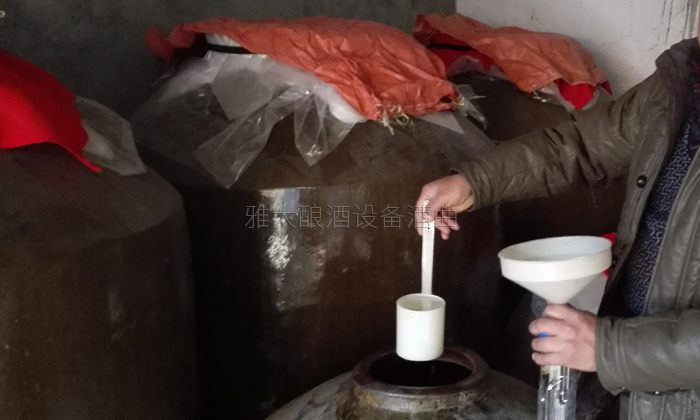 31-20年老師傅用雅大小型酒廠釀酒設備、地缸釀出“最干凈的酒”地缸0
