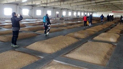 用釀酒白酒設(shè)備做酒的老酒坊想升級為大酒廠，只需做好這4點！