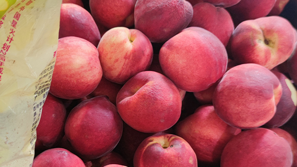 山東冬桃滯銷，能否用釀酒新設(shè)備釀成酒避免損失？