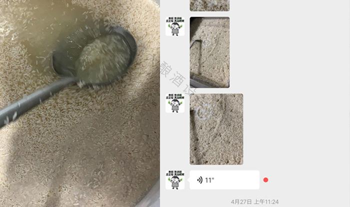 受疫情影響不讓養(yǎng)蛇，用電加熱釀酒設備做酒迎來新未來！ 3