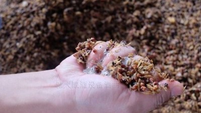 小型酒廠釀酒設(shè)備蒸酒時，酒醅含水量與酒質(zhì)有何關(guān)系？