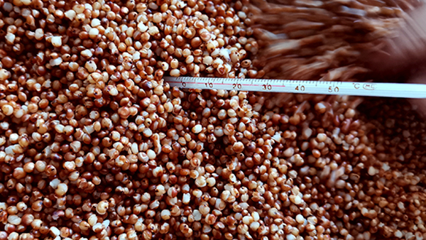 用烤酒設(shè)備做酒，溫度對白酒口感和出酒率影響大嗎？