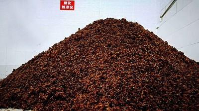 用做酒設(shè)備釀純糧酒的人說做真酒就是在行善，你認(rèn)同嗎？