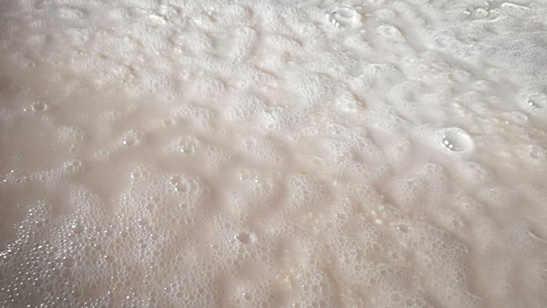 驚！用白酒蒸餾設(shè)備釀酒，加水發(fā)酵的作用竟然這么大！