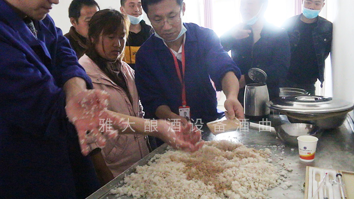 指導學員8按大米+山藥的總量加入相對應的酒曲并攪拌均勻
