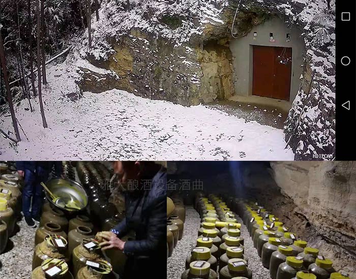 10.3做洞藏酒，“洞”的選擇很重要