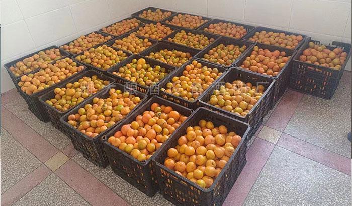 除當?shù)厝撕鹊母叨染仆?，他還多元化經(jīng)營水果酒