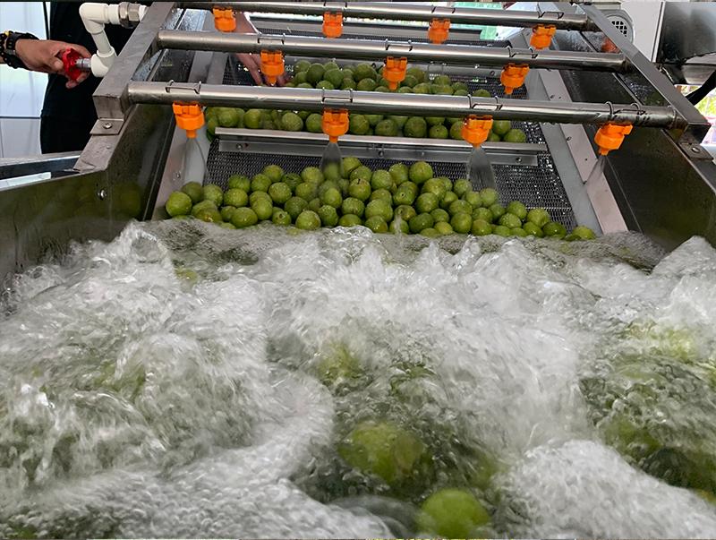 雅大果酒清洗設備