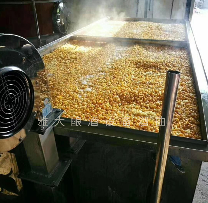 3.31用攤晾蒸煮釀酒設(shè)備蒸玉米，熟得又快又均勻
