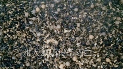 用小型酒廠釀酒設(shè)備做黑大麥酒，開家個性化的釀酒作坊！
