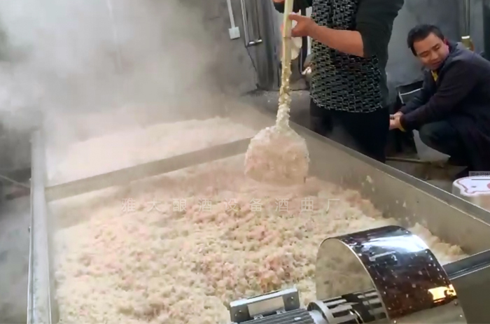 1-12蒸玉米酒的同時，500斤大米也蒸煮