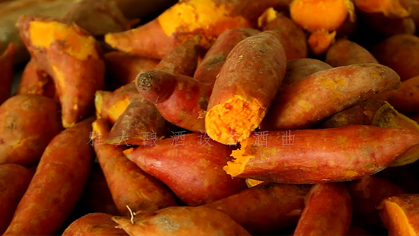 15歲開始釀酒可酒坊一直做不大，只缺1套現(xiàn)代熟料釀酒設(shè)備