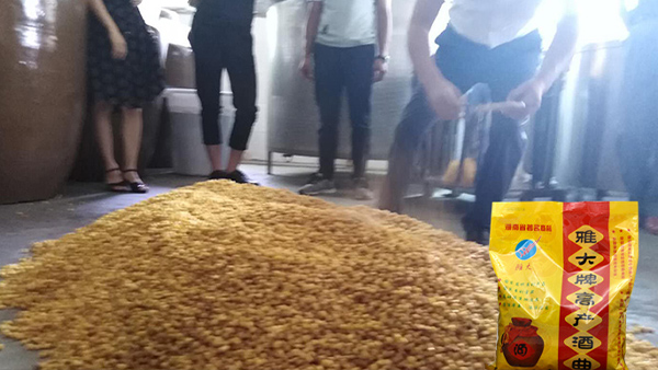 40年老師傅用糧食釀酒設備做酒有訣竅，蒸餾蒸糧一步到位！