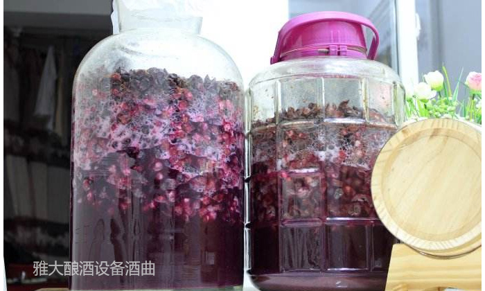 8.16葡萄釀酒技術—發(fā)酵