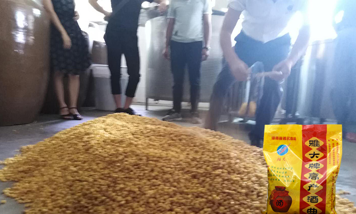 9.16固態(tài)玉米釀酒技術—下酒曲