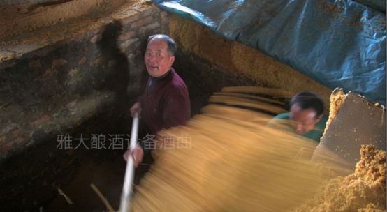 9.17古法玉米釀酒技術-控制入池酸度