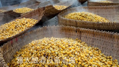 看過來，用玉米釀酒設(shè)備制作整料玉米酒的標(biāo)準(zhǔn)教程在這里！