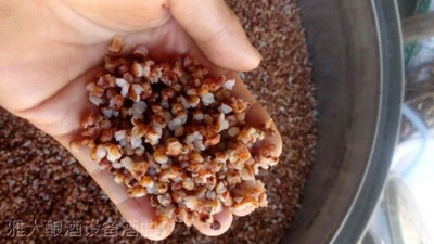 用高粱釀酒設(shè)備做高粱酒時(shí)不加糠殼，可以釀出酒來嗎？