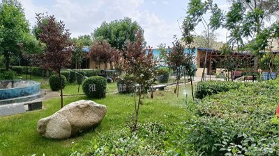 女孩屢次創(chuàng)業(yè)失敗后，用釀白酒設(shè)備開酒坊，分店開了一家又一家