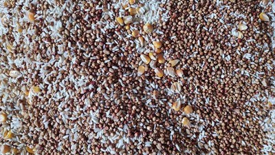 五糧混蒸混燒方法，用哪些雅大釀酒設(shè)備好？