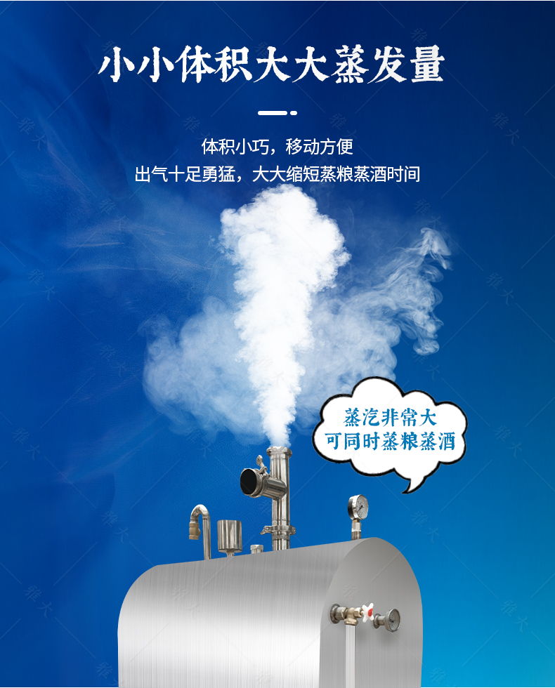 臥式反燒鍋爐_04 臥式反燒鍋爐_04