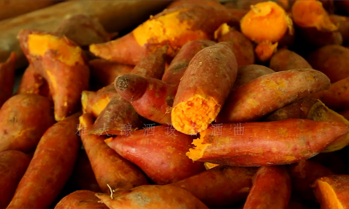 9.25紅薯釀酒技術-剛剛蒸熟的紅薯