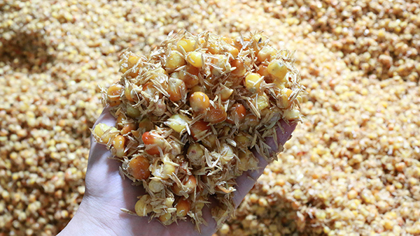 用烤酒設(shè)備做固態(tài)酒，到底要不要配糟？