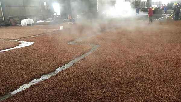 關(guān)于白酒的這些小知識，每個用燒酒設(shè)備做酒的人都應(yīng)該知道！