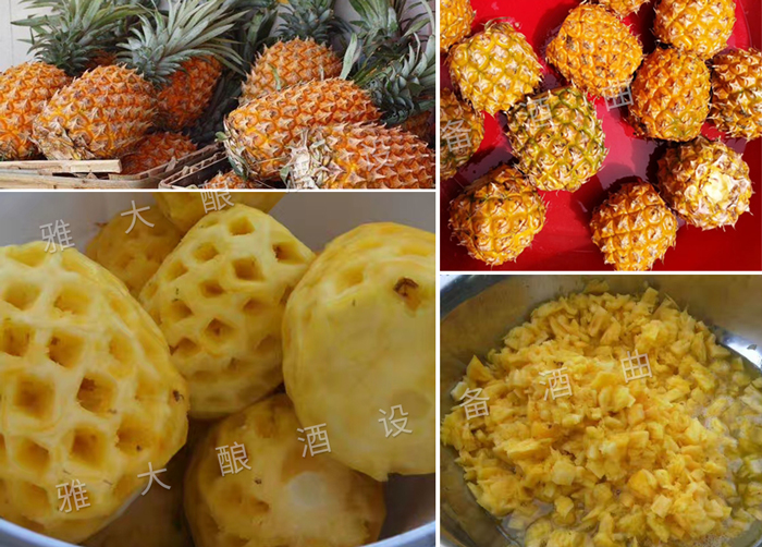 5.4菠蘿釀酒技術-原料處理