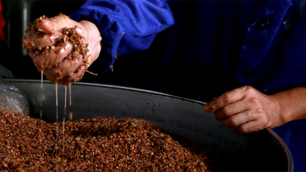 處暑過(guò)后，最佳釀酒季即將到來(lái)，您的白酒蒸餾設(shè)備準(zhǔn)備好了嗎