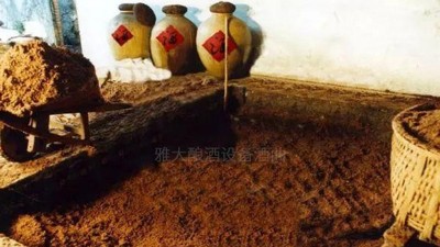 用高粱釀酒設(shè)備做濃香型白酒，酒好全憑窖池老！