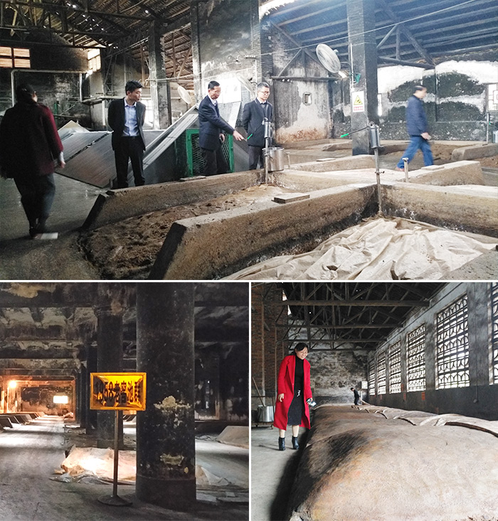 11--雅大科技董事長(zhǎng)胡順開(kāi)帶你探訪60年濃香老酒坊-窖池