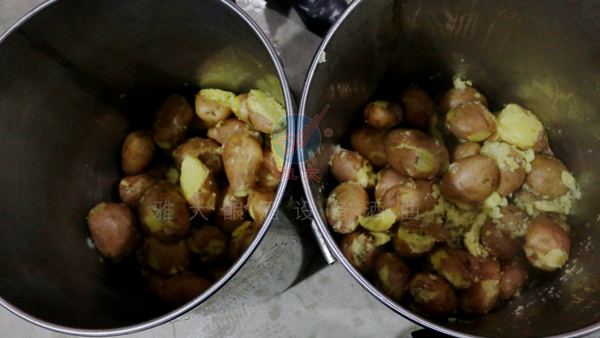 3000噸土豆無人問津，那就試試用釀白酒設(shè)備將它們釀成酒吧！