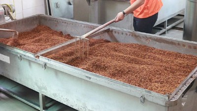 蒸糧時間長，蒸好后總是夾生，試試雅大多功能蒸煮攤涼釀酒設備