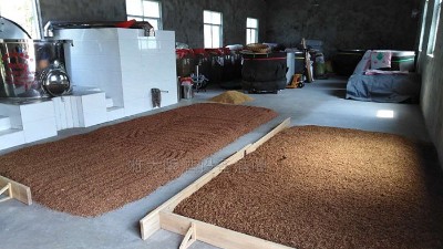 用白酒釀造設(shè)備做固態(tài)酒，到底要不要堆積糖化？