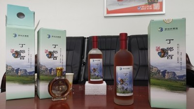 農(nóng)村到處可見的野果，用小型白酒設備釀成酒被稱為男人的加油站！