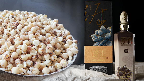 【蒸汽釀酒設(shè)備】蓮花開，蓮子熟，釀一壺清香的蓮子酒！