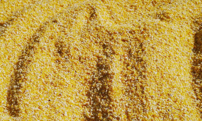 9.8玉米熟料液態(tài)發(fā)酵，請(qǐng)將玉米粉碎成小顆粒