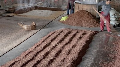 咱家不差錢，你又一把年紀(jì)了，何必堅(jiān)持用中型釀酒設(shè)備做酒？