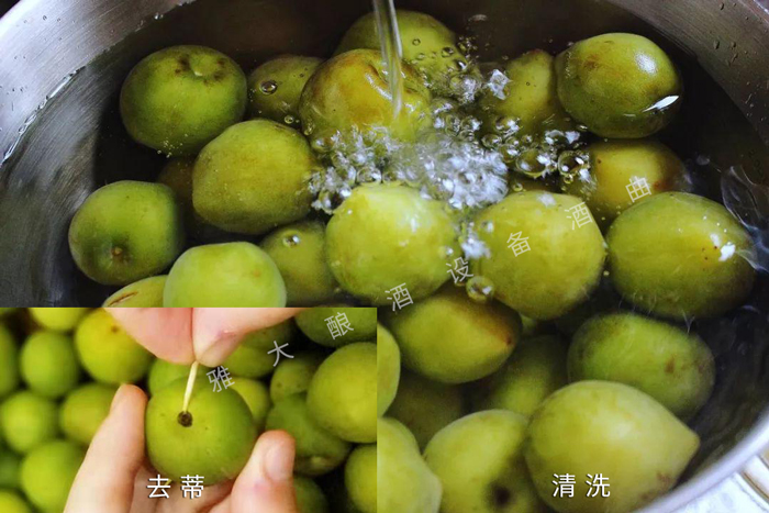 4.15青梅清洗、去蒂