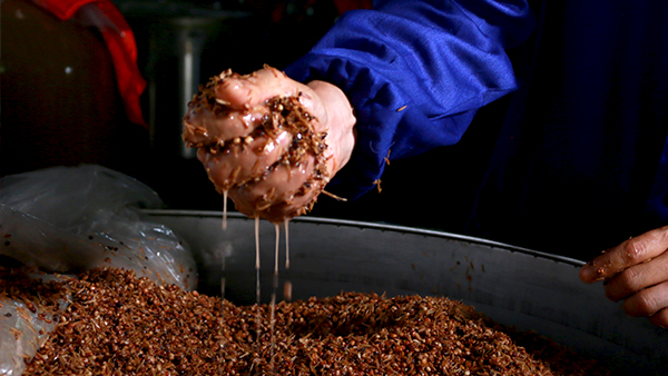 【小型酒廠釀酒設(shè)備】固態(tài)法白酒最新定義，趕緊來(lái)看看吧！