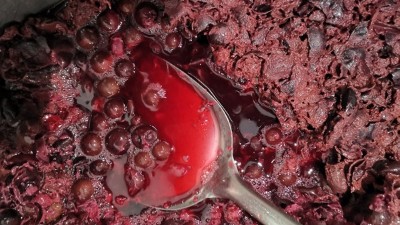 10步教您用小型白酒設備做出美味樹葡萄酒！樹葡萄酒標準教程！