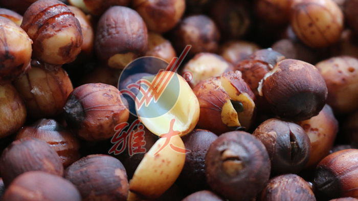 4.1、蒸好的鏈子細(xì)節(jié)圖